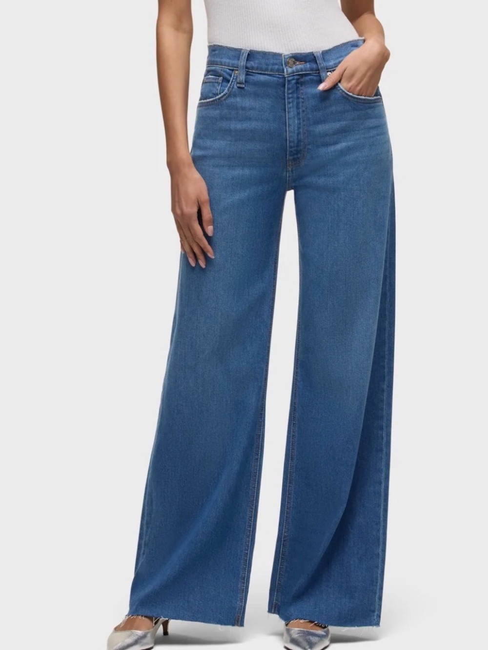 Hudson Jodie High Rise Loose Fit Wide Leg Sz 31